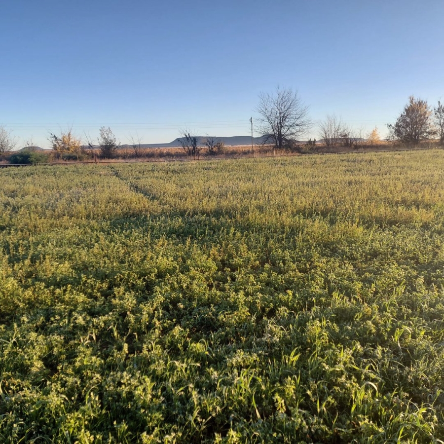 Commercial Property for Sale in Bloemfontein Rural Free State